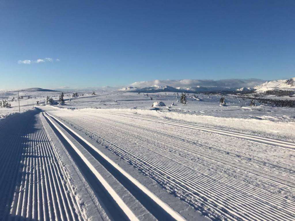 Golsfjellet - Bualie, milevis med sykkelveier, fiske og vannaktivitet, ski inn/ut til alpinanlegg og langrennsløyper. Eksteriør bilde