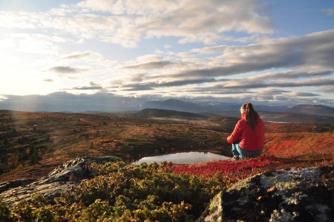Golsfjellet - Bualie, milevis med sykkelveier, fiske og vannaktivitet, ski inn/ut til alpinanlegg og langrennsløyper. Eksteriør bilde