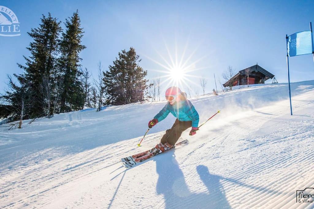 Golsfjellet - Bualie, milevis med sykkelveier, fiske og vannaktivitet, ski inn/ut til alpinanlegg og langrennsløyper. Eksteriør bilde