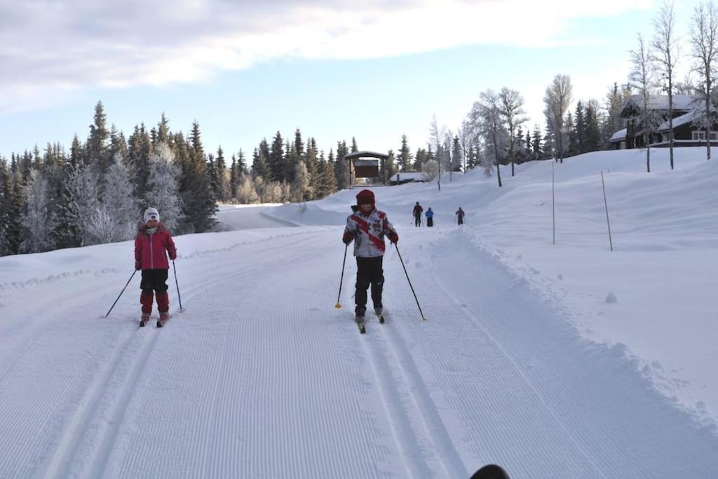 Golsfjellet - Bualie, milevis med sykkelveier, fiske og vannaktivitet, ski inn/ut til alpinanlegg og langrennsløyper. Eksteriør bilde