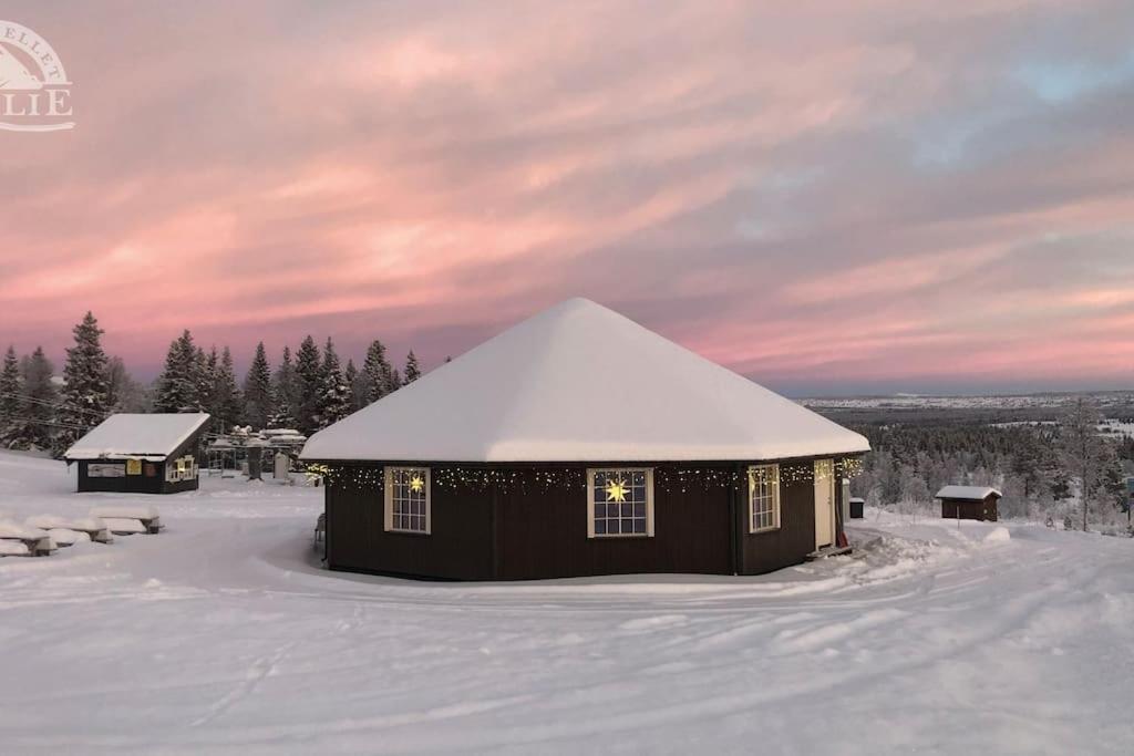Golsfjellet - Bualie, milevis med sykkelveier, fiske og vannaktivitet, ski inn/ut til alpinanlegg og langrennsløyper. Eksteriør bilde